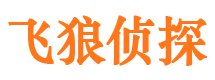 蕉城市私家侦探